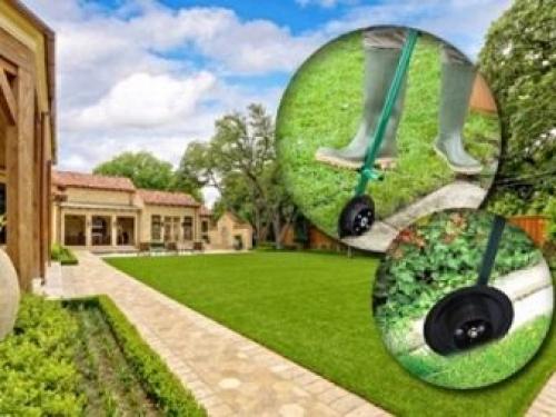 Газон перед домом дизайн. Красивый газон: фото идеи безупречного оформления газона своими руками 28 Газон перед домом дизайн. Красивый газон: фото идеи безупречного оформления газона своими руками 28