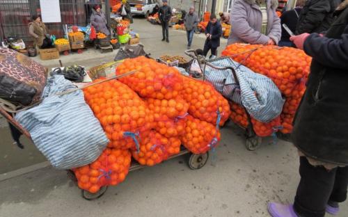 Мандариновые деревья в абхазии. Фрукты