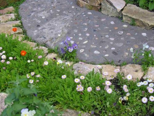 Цветы на участке своими руками. Цветы на даче — 75 фото идеальных сочетаний и советов от ведущих дизайнеров