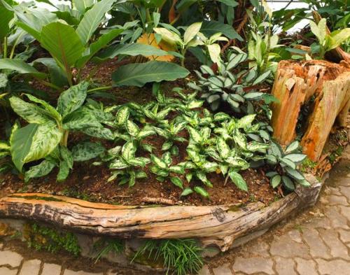 Цветник своими руками из подручных материалов. Из чего можно сделать клумбу?