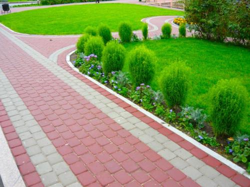 Как быстро озеленить участок. Озеленение участка – идеи по обустройству территории и варианты современного ландшафтного дизайна