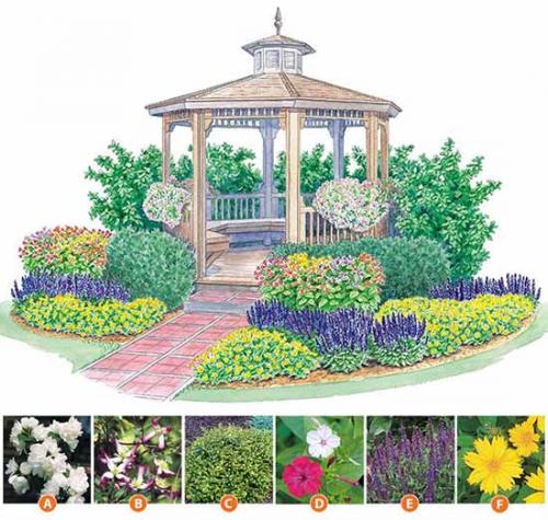 Схемы. посадки цветов. 