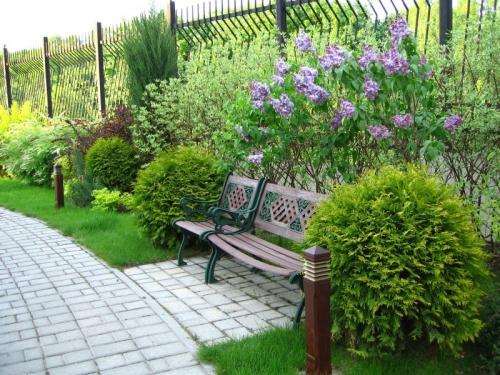 Как быстро озеленить участок. Озеленение участка – идеи по обустройству территории и варианты современного ландшафтного дизайна