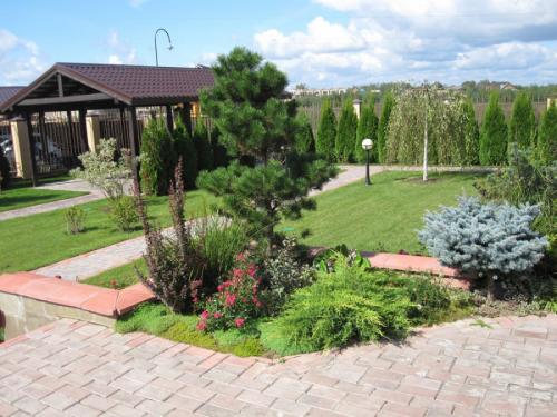 Как быстро озеленить участок. Озеленение участка – идеи по обустройству территории и варианты современного ландшафтного дизайна