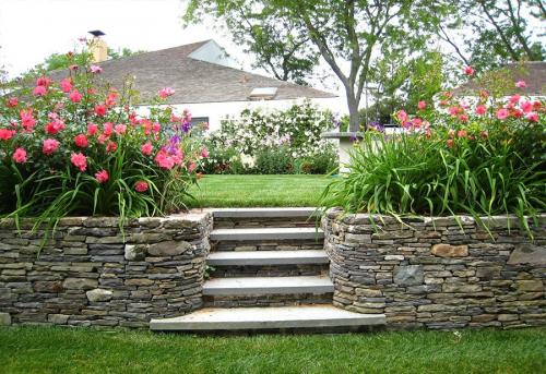 Как быстро озеленить участок. Озеленение участка – идеи по обустройству территории и варианты современного ландшафтного дизайна