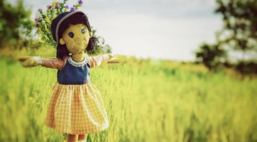 Картинки чучело в огороде. Секрет эффективного пугала 16 Картинки чучело в огороде. Секрет эффективного пугала 16