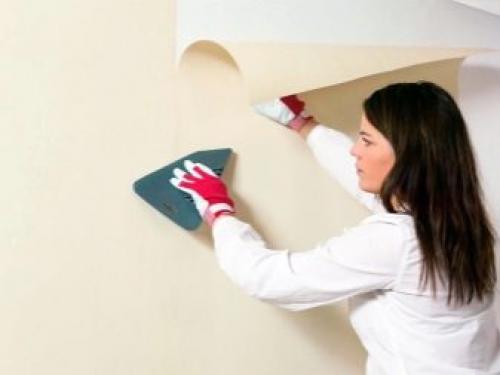 Утеплитель для стен рулонный под обои. Разновидности рулонных утеплителей под обои 08