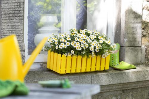 Кашпо из дерева своими руками. Кашпо для сада — лучшие варианты и оригинальные идеи для украшения цветов (70 фото)