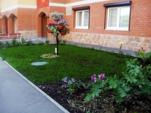 Озеленение двора частного дома хвойными. Основные моменты работы