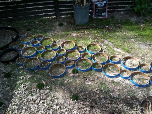 Формы своими руками. Собственноручное изготовление форм