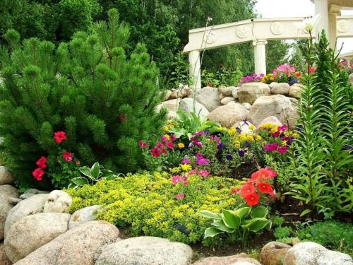 План клумбы непрерывного цветения с разверткой и ассортиментом растений. Клумбы непрерывного цветения для тенистых и солнечных мест: примеры с фото 17