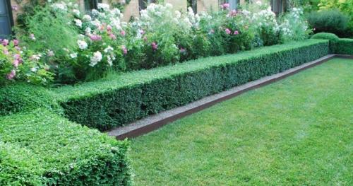 Подстригают кусты чем. Стрижка - Бодибилдинг для декоративного куста. 04