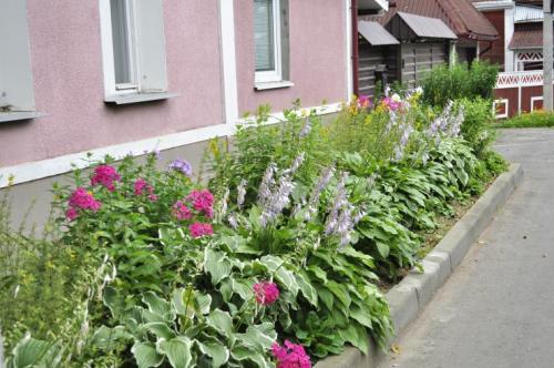 План клумбы непрерывного цветения с разверткой и ассортиментом растений. Клумбы непрерывного цветения для тенистых и солнечных мест: примеры с фото 10