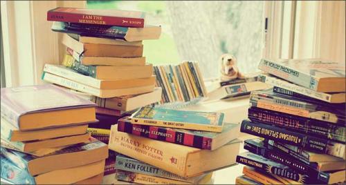 Книги из домашней библиотеки до 100. Какие книги можно дорого продать: список и рекомендации букинистов