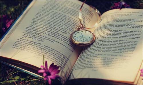 Книги из домашней библиотеки до 100. Какие книги можно дорого продать: список и рекомендации букинистов