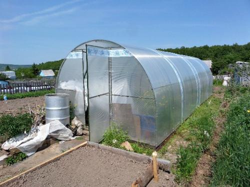 Что посадить на маленьком участке. Навигация по записям