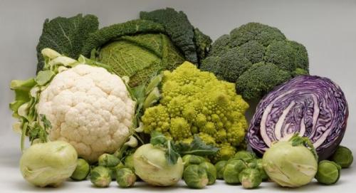 Можно ли сажать. Что можно сажать после чего на огороде