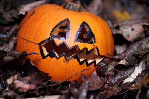 Как сохранить декоративные тыквы. Как высушить декоративную тыкву