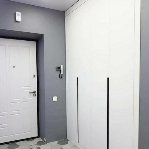 Современный шкаф в прихожую. Шкаф в прихожую и коридор: виды, новые модели, варианты размещения + 140 фото дизайна