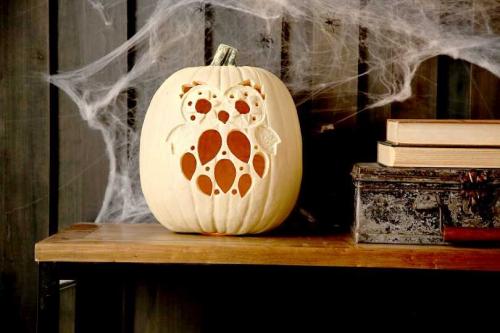 Тыква декоративная поделки своими руками. Поделки из тыквы: карета, снеговик, ваза, волшебный домик и посуда. Видео + фото примеры готовых работ