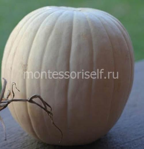 Как сделать вазу из тыквы. Ваза из тыквы своими руками
