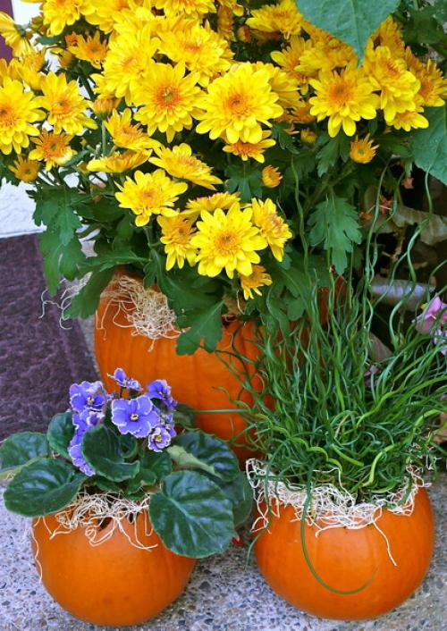 Ваза из тыквы сделать самому своими руками. Как сделать вазу из тыквы 33