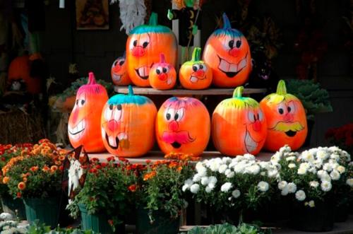 Поделки из тыквы в школу. Осенние поделки из тыквы в школу своими руками