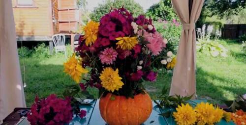 Поделки из тыквы в школу. Осенние поделки из тыквы в школу своими руками