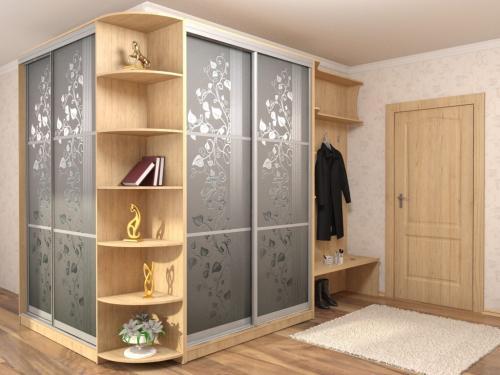 Шкаф-купе в прихожую наполнение 2 двери. Особенности наполнения шкафов-купе в прихожую, варианты зонирования