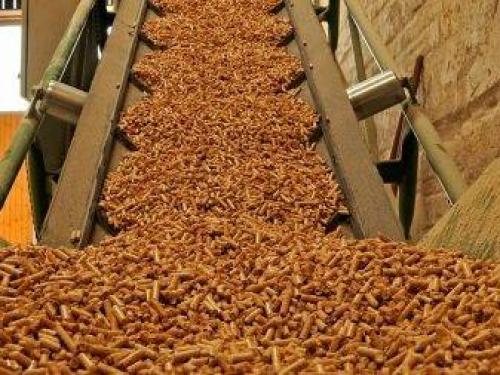 Широкий спектр использования топливных гранул. Как расширить сырьевую базу для производства топливных гранул 17