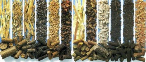 Широкий спектр использования топливных гранул. Как расширить сырьевую базу для производства топливных гранул 15