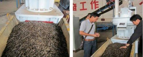 Широкий спектр использования топливных гранул. Как расширить сырьевую базу для производства топливных гранул 16