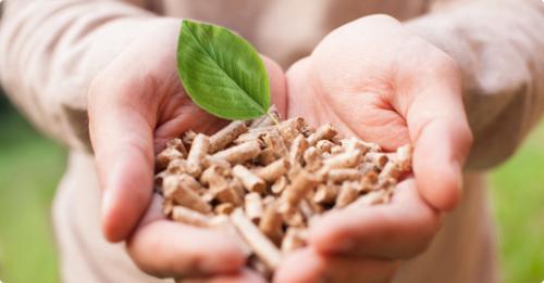 Широкий спектр использования топливных гранул. Как расширить сырьевую базу для производства топливных гранул 03