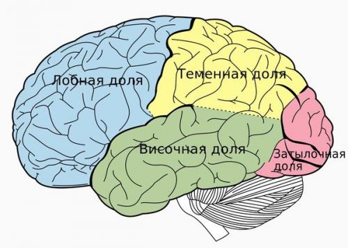 У вас не будет порядка в доме. У кого дома никогда не будет порядка 16