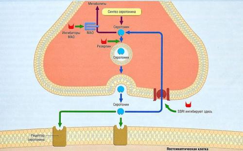 У вас не будет порядка в доме. У кого дома никогда не будет порядка 15