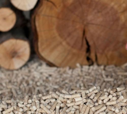 Топливные пеллеты в гранулах. Что такое пеллеты и их разновидности