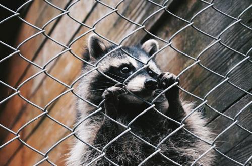 Сколько стоит построить бассейн на участке. Сколько стоит пластмассовый бассейн 12 Сколько стоит построить бассейн на участке. Сколько стоит пластмассовый бассейн 12