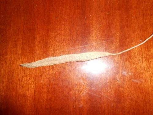 Оригинальная ваза из пластиковой бутылки. Ваза из пластиковой бутылки своими руками пошагово с фото и видео 28