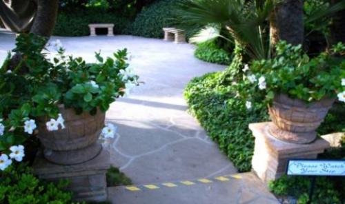 Как сделать вазу своими руками из цемента. Разновидности