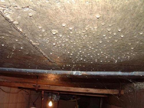 Как обезопасить пластиковый погреб из полипропилена от намокания. Высокая влажность в пластиковом погребе: причины появления