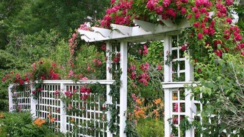 Малые архитектурные формы в частном доме. Перголы – для неисправимых романтиков