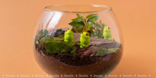 Креативная идея: как сделать вазу из пластиковой бутылки и шпагата 25