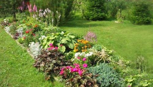 Клумба своими руками из подручных материалов. Виды