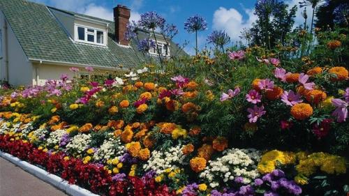 Клумба своими руками из подручных материалов. Виды