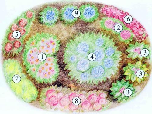 Красивые клумбы для дачного участка. Готовые схемы красивых клумб разной формы из многолетних цветов в Подмосковье для начинающих