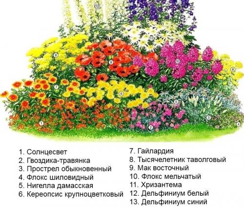 Красивые клумбы для дачного участка. Готовые схемы красивых клумб разной формы из многолетних цветов в Подмосковье для начинающих