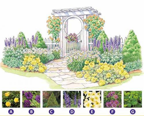 Схемы клумб с названиями цветов. Как сделать красивую клумбу: 15 схем для цветника