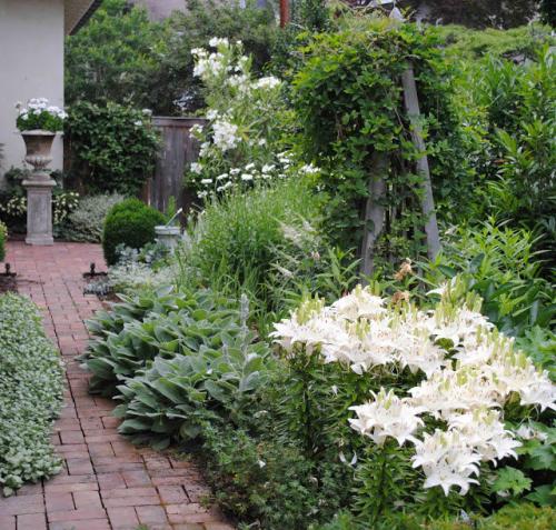 Как спланировать цветочную клумбу. Принципы формирования цветника 09