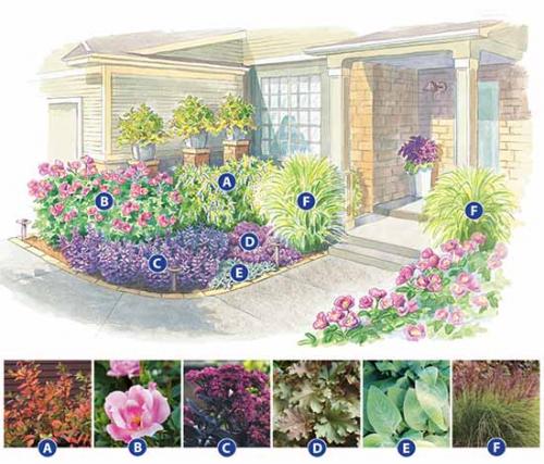 Схемы клумб с названиями цветов. Как сделать красивую клумбу: 15 схем для цветника