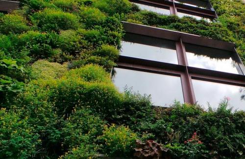 Каскадная клумба своими руками. Вертикальные клумбы — создание каскадных цветников своими руками, фото